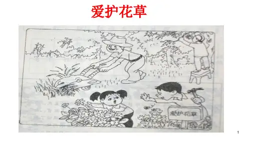 部编版二年级下册语文看图写话集(完整版有例文)