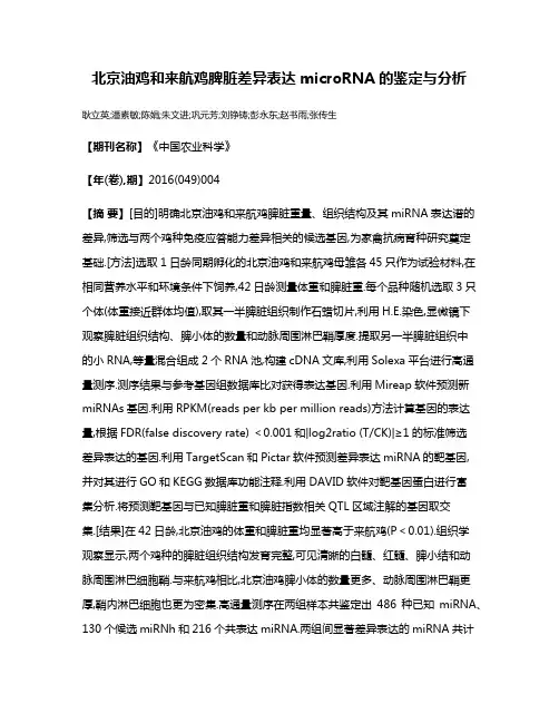 北京油鸡和来航鸡脾脏差异表达microRNA的鉴定与分析