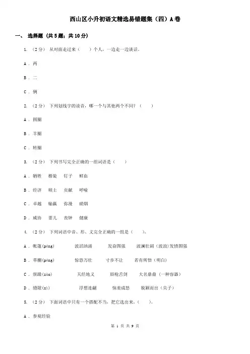 西山区小升初语文精选易错题集(四)A卷
