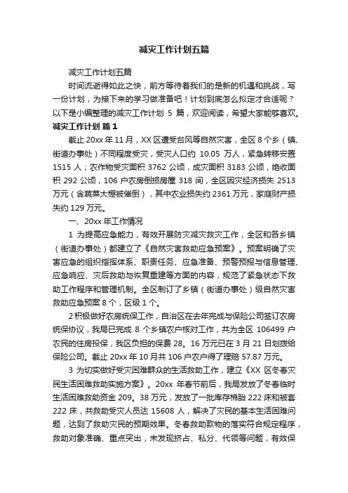 减灾工作计划五篇