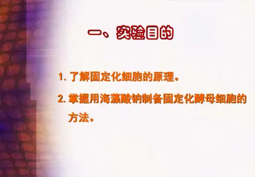 实训八固定化技术