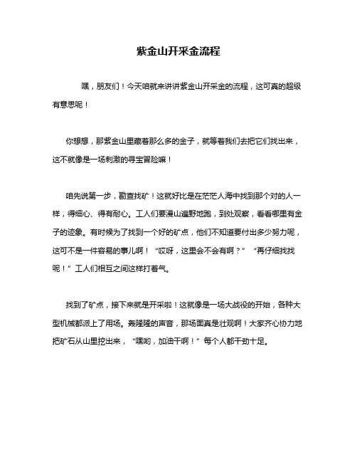紫金山开采金流程