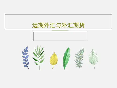 远期外汇与外汇期货42页PPT