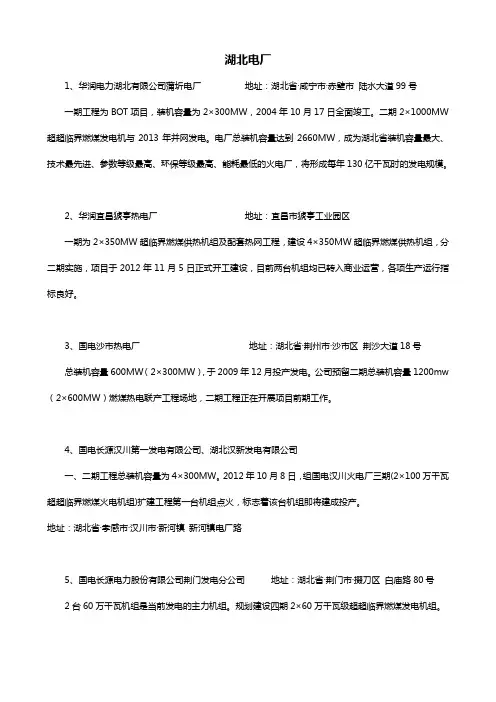 湖北电厂