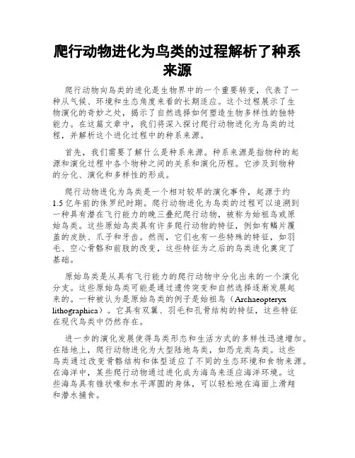 爬行动物进化为鸟类的过程解析了种系来源