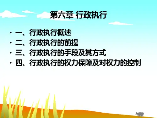 第六章行政执行ppt课件
