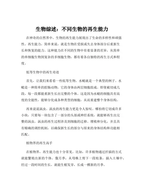 生物综述：不同生物的再生能力