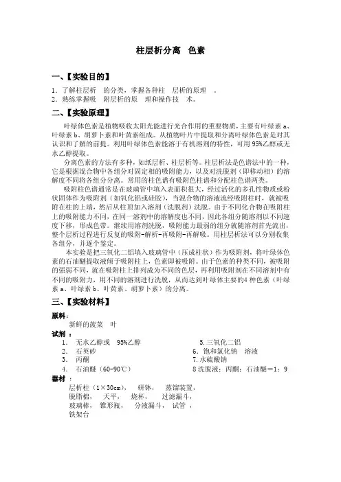 拄层析分离色素实验报告