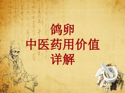 中药学_鸽卵_药材详解课件模板