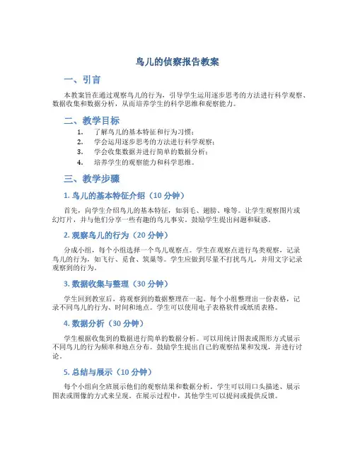 鸟儿的侦察报告教案