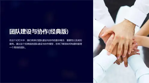 团队建设与协作(经典版)