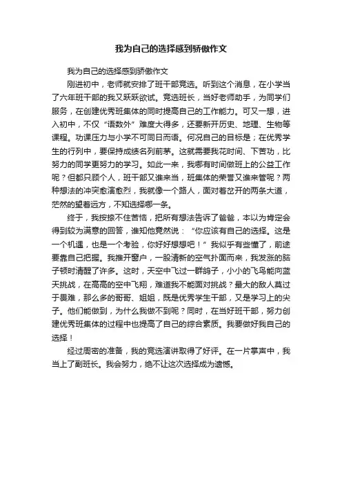 我为自己的选择感到骄傲作文