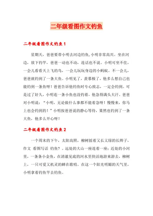 二年级看图作文钓鱼