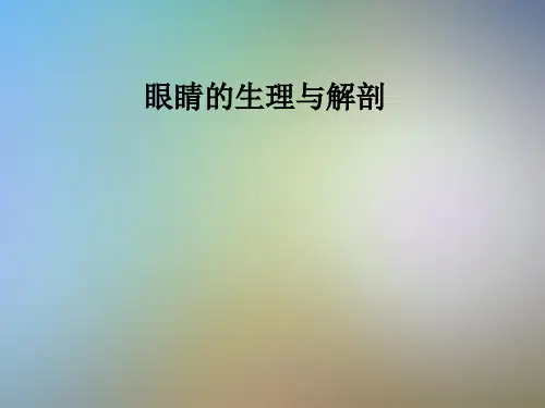 眼睛的生理与解剖