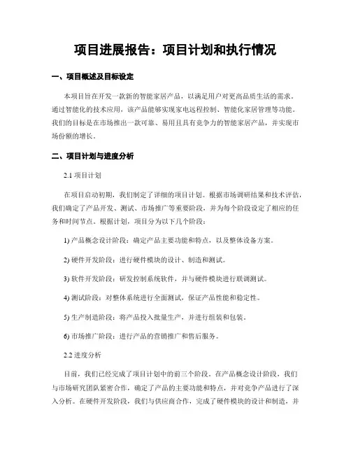 项目进展报告：项目计划和执行情况