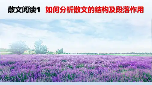 高考散文专题阅读指导：如何分析散文的结构及段落作用课件