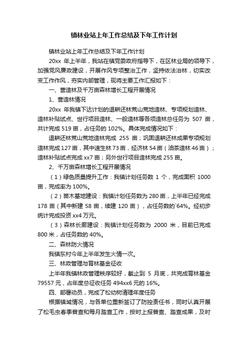 镇林业站上年工作总结及下年工作计划