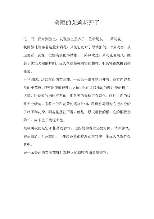 三年级状物美丽的茉莉花开了