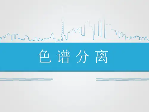 色谱分离过程课件最终版