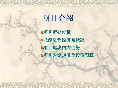 四川成都龙潭总部基地管委会项目推介(介绍)31页
