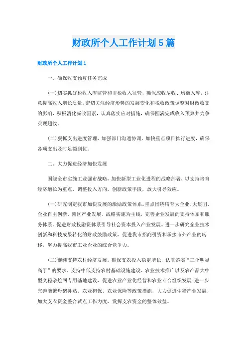 财政所个人工作计划5篇