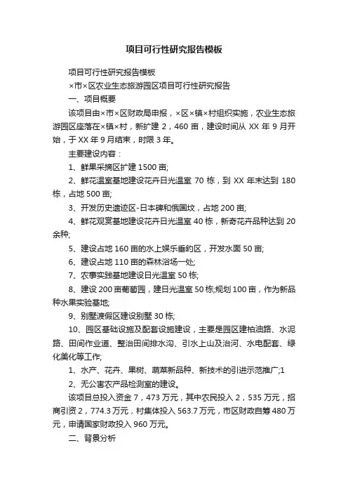 项目可行性研究报告模板