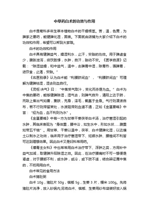 中草药白术的功效与作用