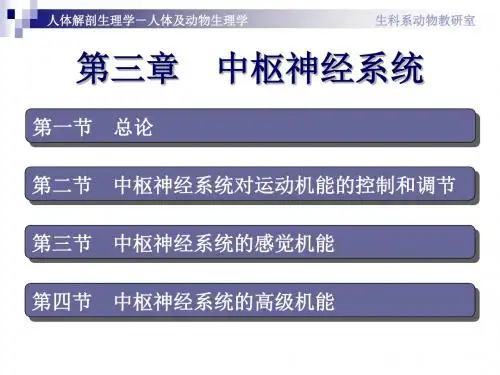 03中枢神经系统