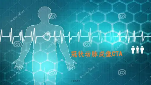 冠状动脉造影CTAPPT课件