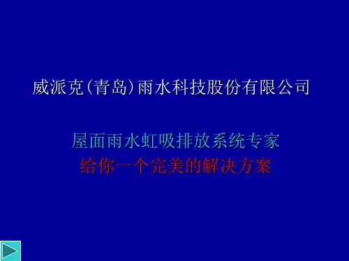 虹吸雨水排放系统原理及实践39页PPT