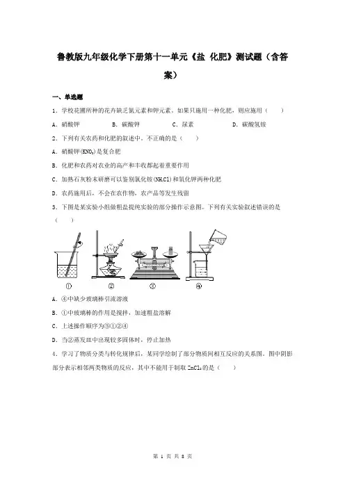 鲁教版九年级化学下册第十一单元《盐 化肥》测试题(含答案)