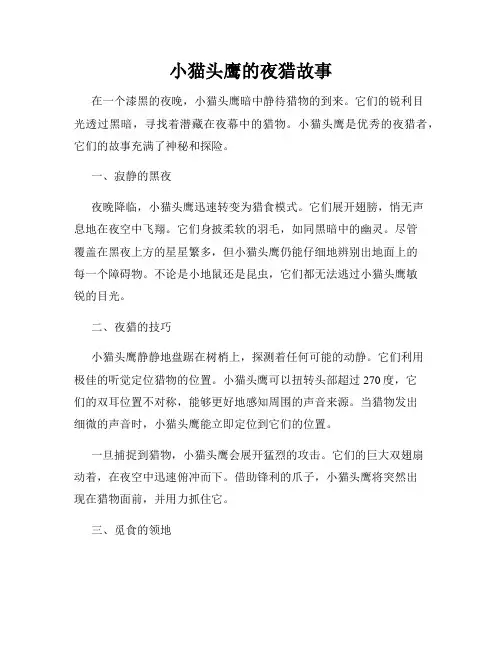 小猫头鹰的夜猎故事