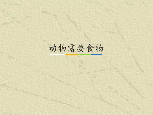 《动物需要食物》PPT完美课件粤教版小学1