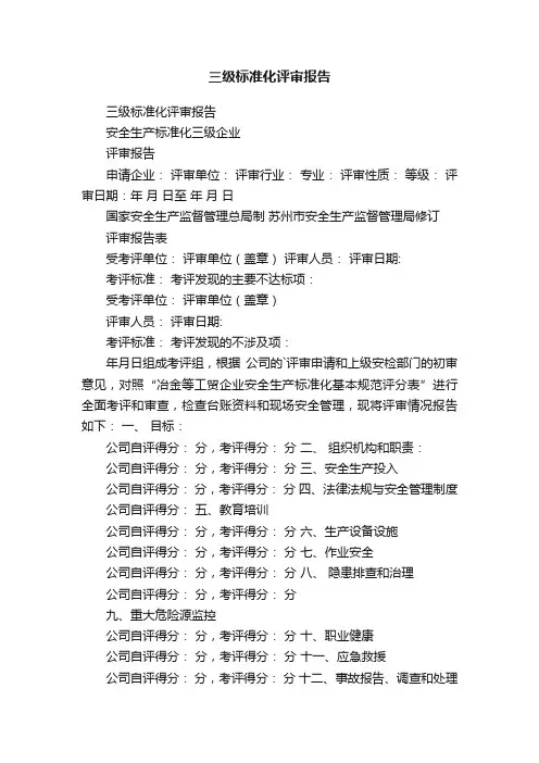 三级标准化评审报告