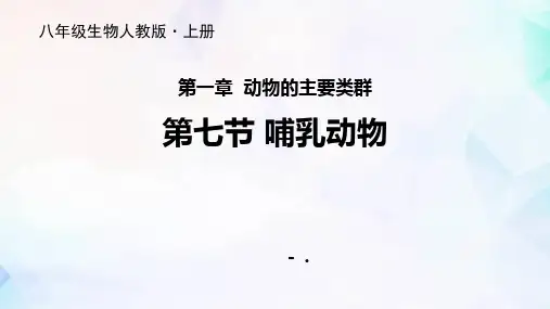 《哺乳动物》PPT课件