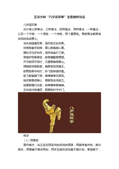 正宗少林“八步连环拳”全套秘传功法