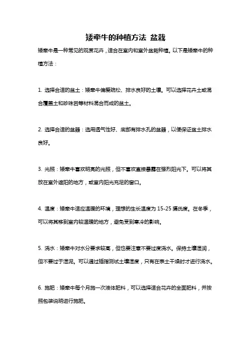 矮牵牛的种植方法 盆栽
