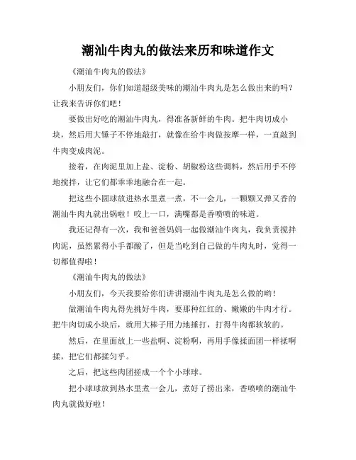 潮汕牛肉丸的做法来历和味道作文