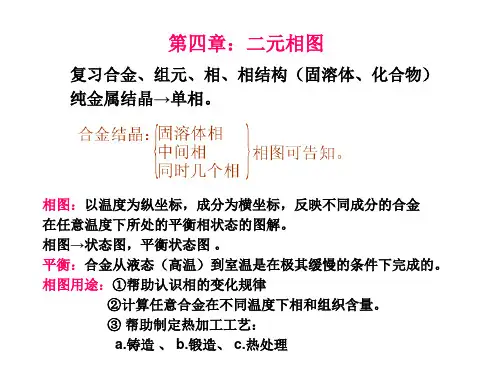 第四章：二元相图