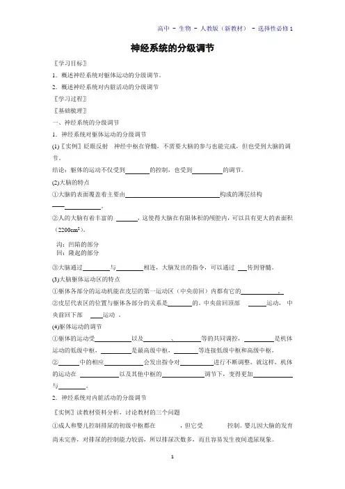 高中生物选修1(新教材)精品学案3：2-4-神经系统的分级调节 人教版