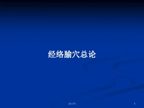 经络腧穴总论PPT教案
