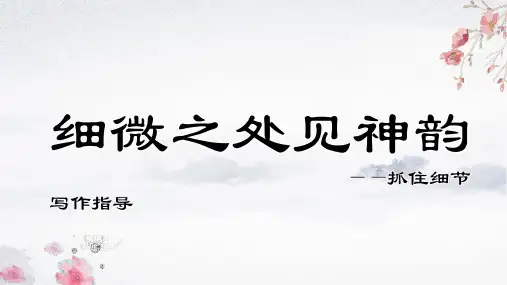 写作《抓住细节》ppt课件