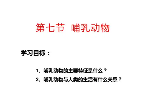 生物人教版八年级(上册)第七节《-哺乳动物》(2024版新教材)