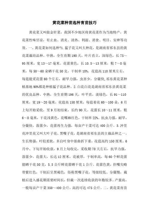 黄花菜种苗选种育苗技巧