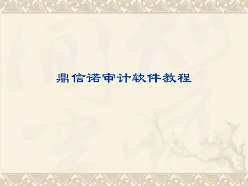 鼎信诺审计软件教程