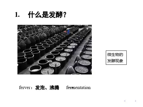 发酵工程原理 绪论