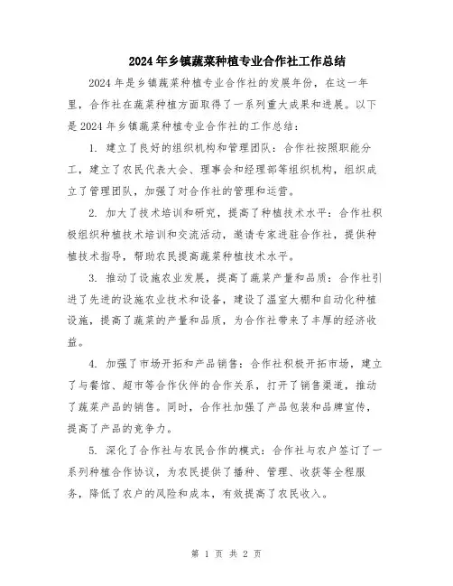 2024年乡镇蔬菜种植专业合作社工作总结