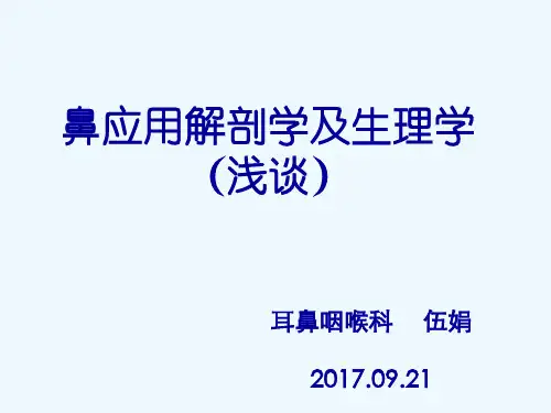 鼻的应用解剖学
