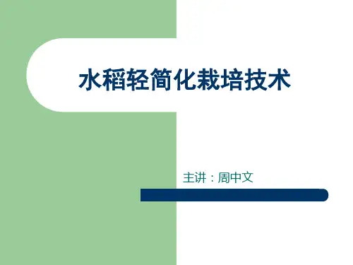 水稻轻简化栽培专题