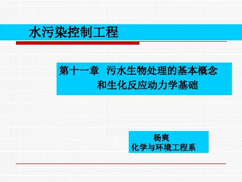 第十一章 污水生物处理的基本概念和生化反应动力学基础